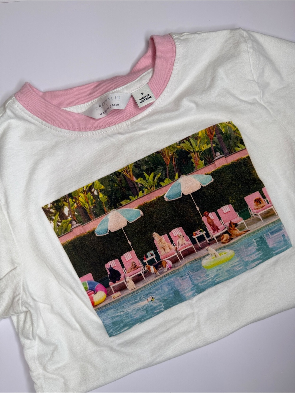 Janie and Jack White Tee with Pink Ringer and Pool Graphic
